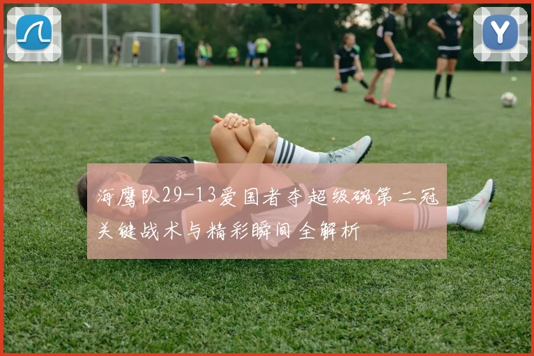 海鹰队29-13爱国者夺超级碗第二冠关键战术与精彩瞬间全解析