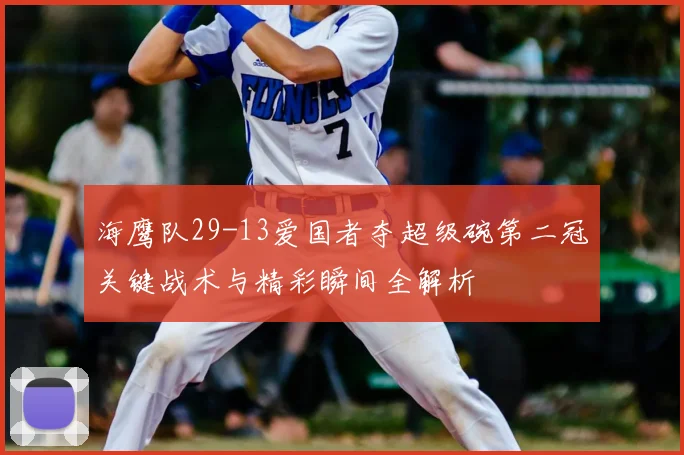 海鹰队29-13爱国者夺超级碗第二冠关键战术与精彩瞬间全解析